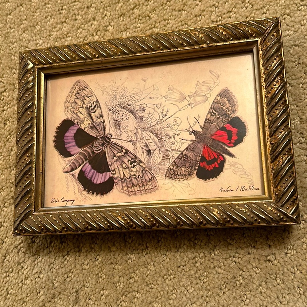 Two’s Company Butterfly Print. Ornate Gold Frame 5x7